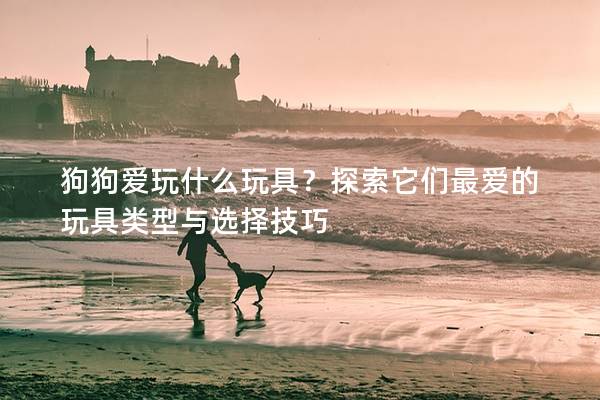 狗狗爱玩什么玩具？探索它们最爱的玩具类型与选择技巧