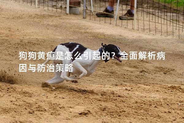 狗狗黄疸是怎么引起的？全面解析病因与防治策略
