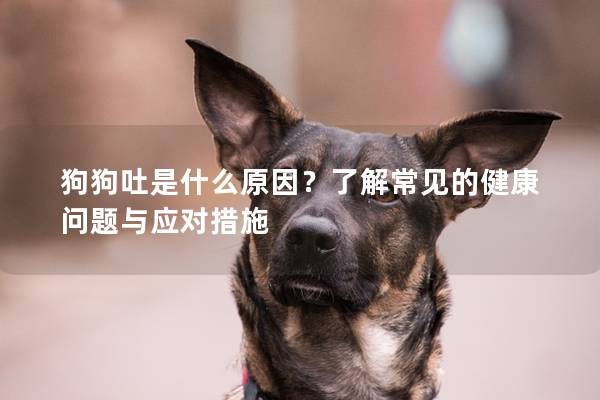 狗狗吐是什么原因？了解常见的健康问题与应对措施