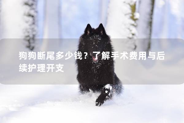狗狗断尾多少钱？了解手术费用与后续护理开支