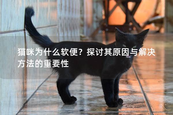 猫咪为什么软便？探讨其原因与解决方法的重要性
