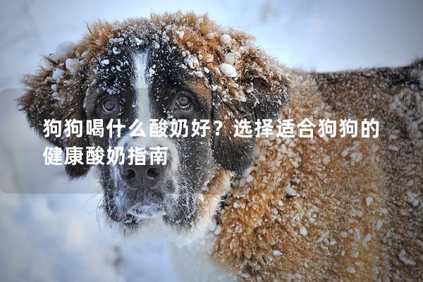 狗狗喝什么酸奶好？选择适合狗狗的健康酸奶指南
