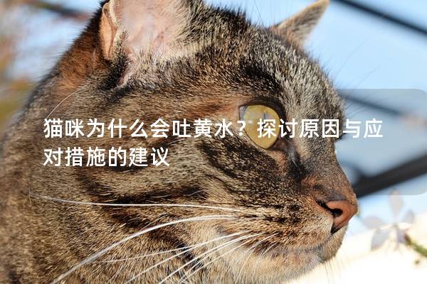 猫咪为什么会吐黄水？探讨原因与应对措施的建议
