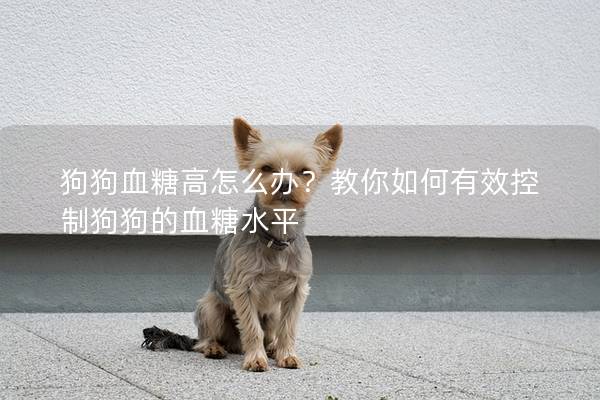 狗狗血糖高怎么办？教你如何有效控制狗狗的血糖水平