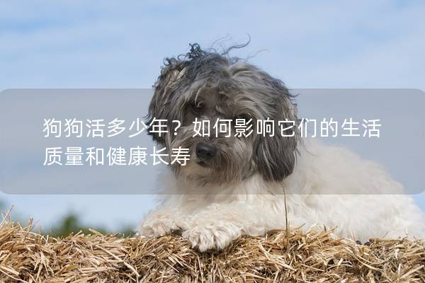 狗狗活多少年？如何影响它们的生活质量和健康长寿