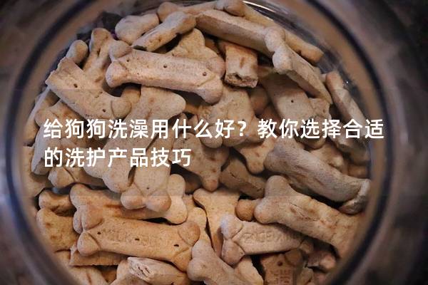 给狗狗洗澡用什么好？教你选择合适的洗护产品技巧