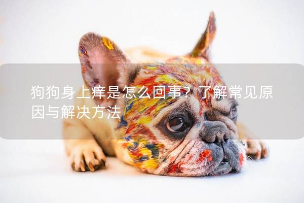 狗狗身上痒是怎么回事？了解常见原因与解决方法