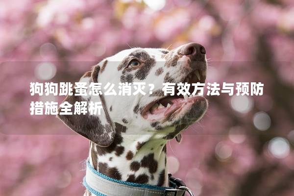 狗狗跳蚤怎么消灭？有效方法与预防措施全解析