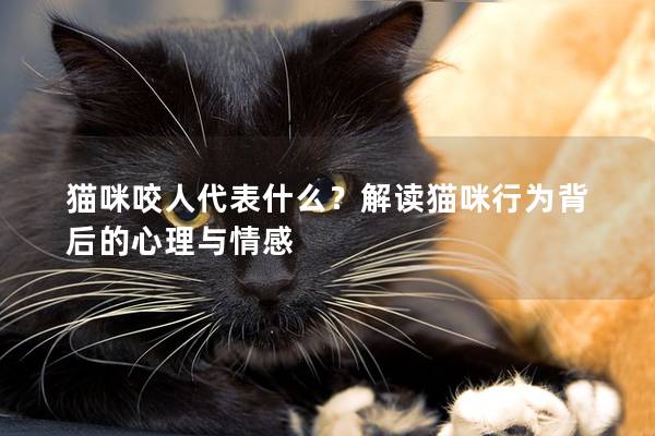 猫咪咬人代表什么？解读猫咪行为背后的心理与情感