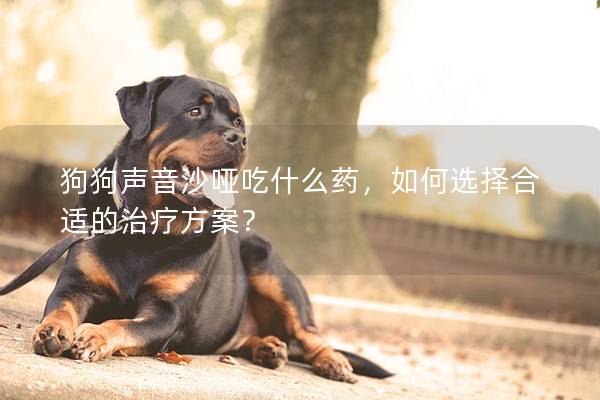 狗狗声音沙哑吃什么药，如何选择合适的治疗方案？