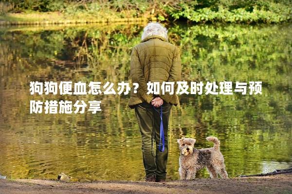 狗狗便血怎么办？如何及时处理与预防措施分享