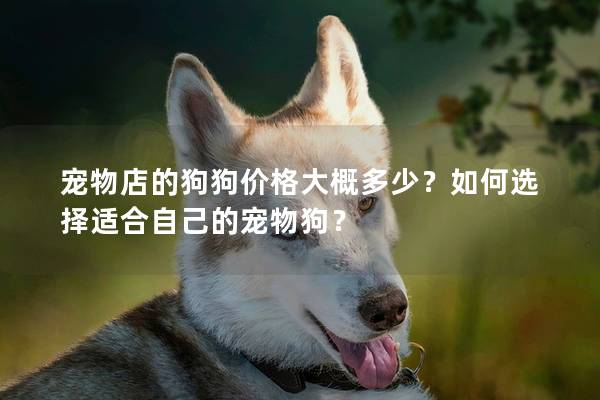 宠物店的狗狗价格大概多少？如何选择适合自己的宠物狗？