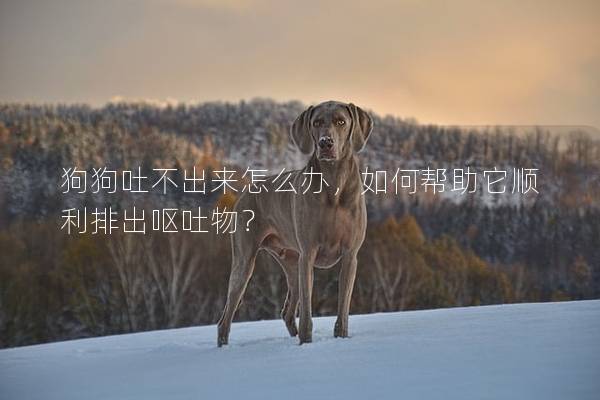 狗狗吐不出来怎么办，如何帮助它顺利排出呕吐物？