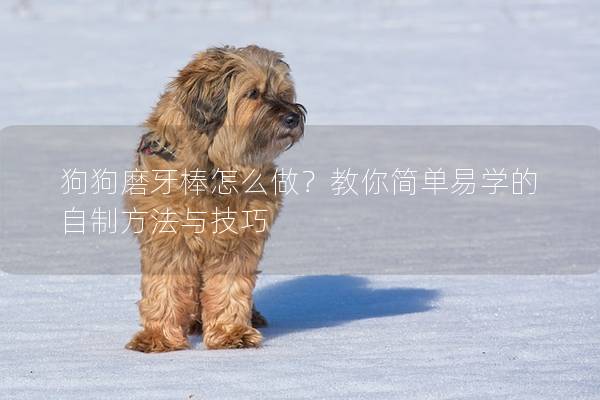 狗狗磨牙棒怎么做？教你简单易学的自制方法与技巧