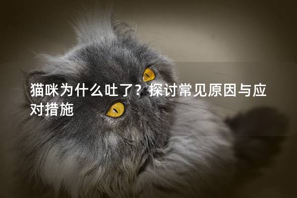 猫咪为什么吐了？探讨常见原因与应对措施