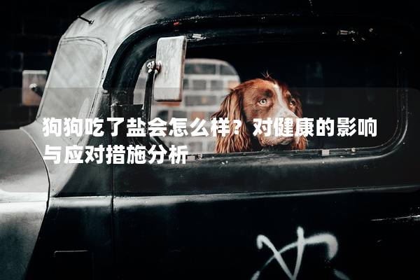 狗狗吃了盐会怎么样？对健康的影响与应对措施分析