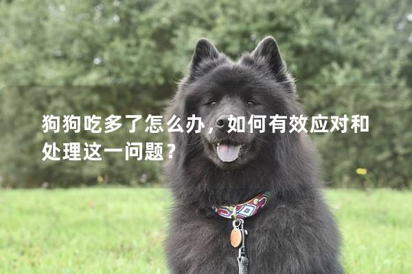 狗狗吃多了怎么办，如何有效应对和处理这一问题？