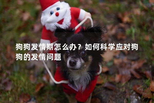 狗狗发情期怎么办？如何科学应对狗狗的发情问题