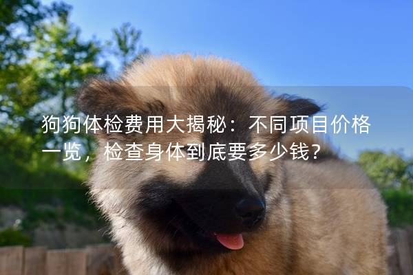 狗狗体检费用大揭秘：不同项目价格一览，检查身体到底要多少钱？