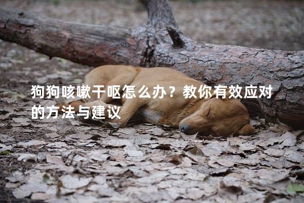 狗狗咳嗽干呕怎么办？教你有效应对的方法与建议