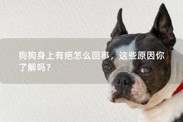 狗狗身上有疤怎么回事，这些原因你了解吗？