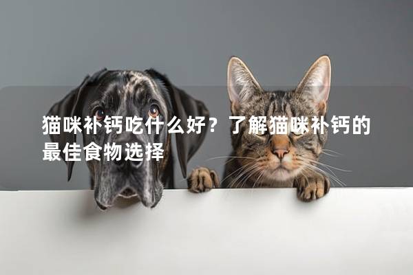 猫咪补钙吃什么好？了解猫咪补钙的最佳食物选择