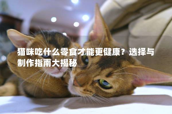 猫咪吃什么零食才能更健康？选择与制作指南大揭秘