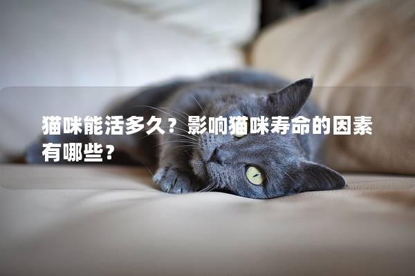 猫咪能活多久？影响猫咪寿命的因素有哪些？
