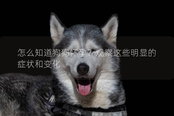 怎么知道狗狗怀孕？观察这些明显的症状和变化