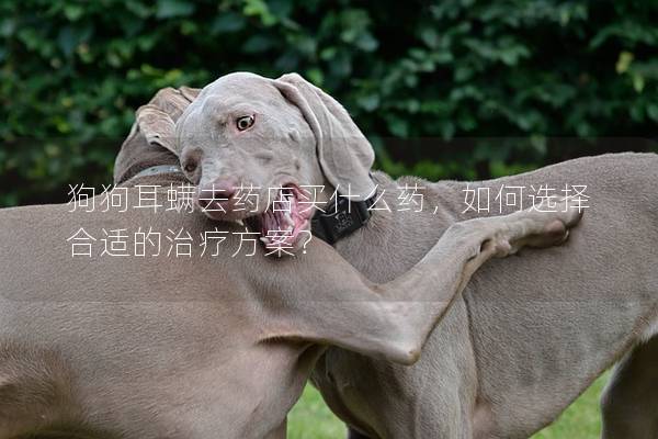 狗狗耳螨去药店买什么药，如何选择合适的治疗方案？