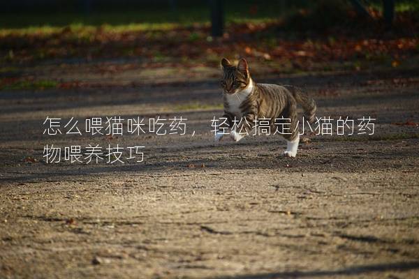 怎么喂猫咪吃药，轻松搞定小猫的药物喂养技巧