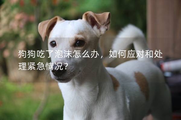 狗狗吃了泡沫怎么办，如何应对和处理紧急情况？