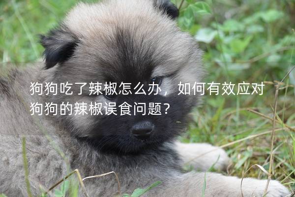 狗狗吃了辣椒怎么办，如何有效应对狗狗的辣椒误食问题？