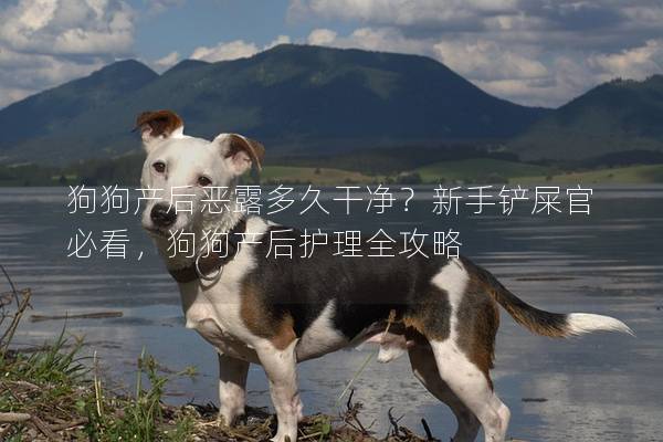狗狗产后恶露多久干净？新手铲屎官必看，狗狗产后护理全攻略