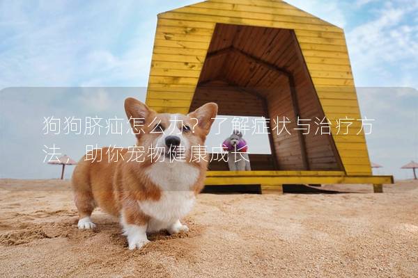 狗狗脐疝怎么办？了解症状与治疗方法，助你宠物健康成长