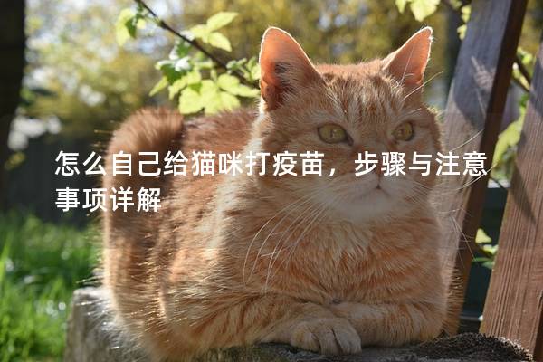 怎么自己给猫咪打疫苗，步骤与注意事项详解