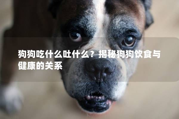 狗狗吃什么吐什么？揭秘狗狗饮食与健康的关系