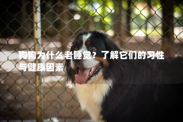 狗狗为什么老睡觉？了解它们的习性与健康因素