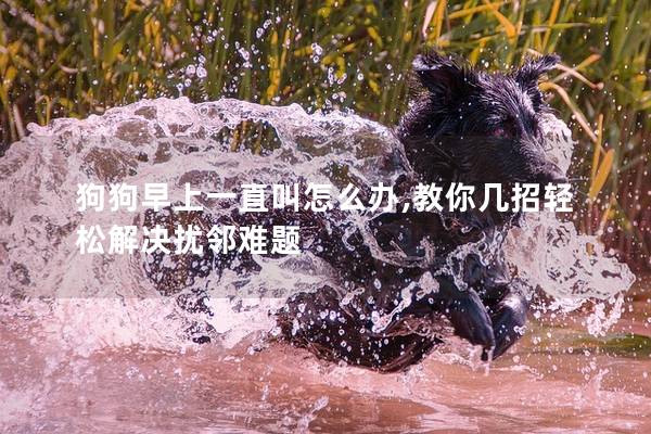 狗狗早上一直叫怎么办,教你几招轻松解决扰邻难题