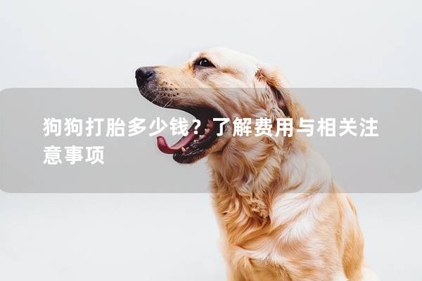 狗狗打胎多少钱？了解费用与相关注意事项