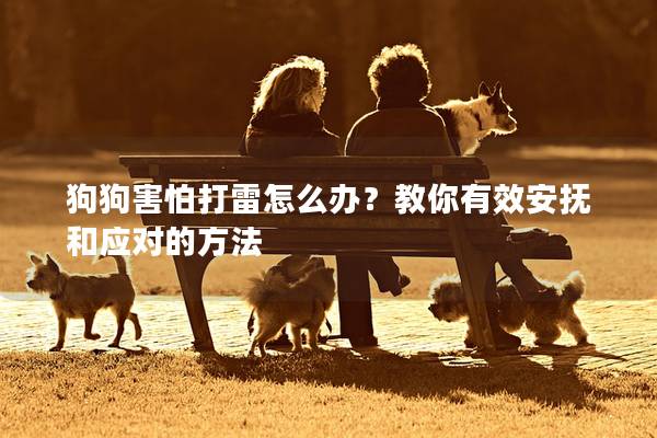 狗狗害怕打雷怎么办？教你有效安抚和应对的方法