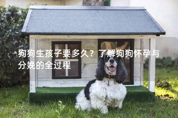 狗狗生孩子要多久？了解狗狗怀孕与分娩的全过程