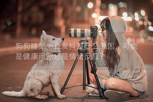 狗狗睡觉一直发抖是什么原因，可能是健康问题还是情绪反应？