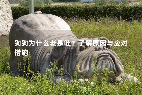 狗狗为什么老是吐？了解原因与应对措施