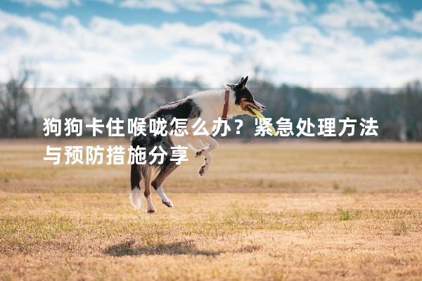 狗狗卡住喉咙怎么办？紧急处理方法与预防措施分享