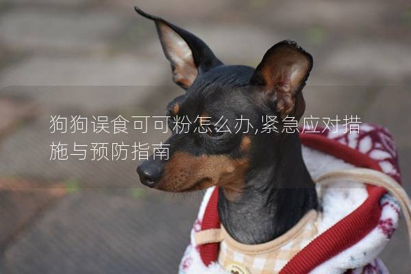 狗狗误食可可粉怎么办,紧急应对措施与预防指南