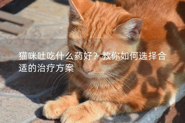 猫咪吐吃什么药好？教你如何选择合适的治疗方案