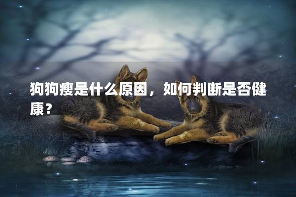 狗狗瘦是什么原因，如何判断是否健康？