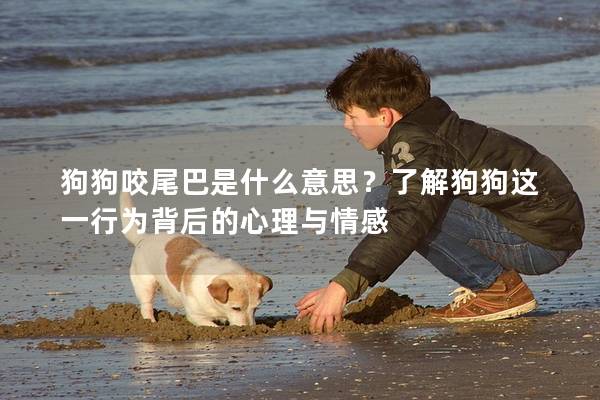 狗狗咬尾巴是什么意思？了解狗狗这一行为背后的心理与情感