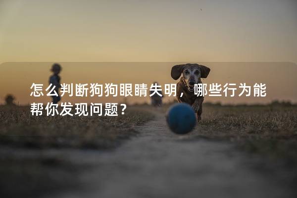 怎么判断狗狗眼睛失明，哪些行为能帮你发现问题？